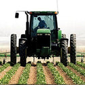 Image Carlisle Farm Specialist R-1 Tire - 7-16 LRD 8PLY