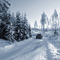 Image Cooper Discoverer True North Winter Snow Tire - 215/45R17 91H